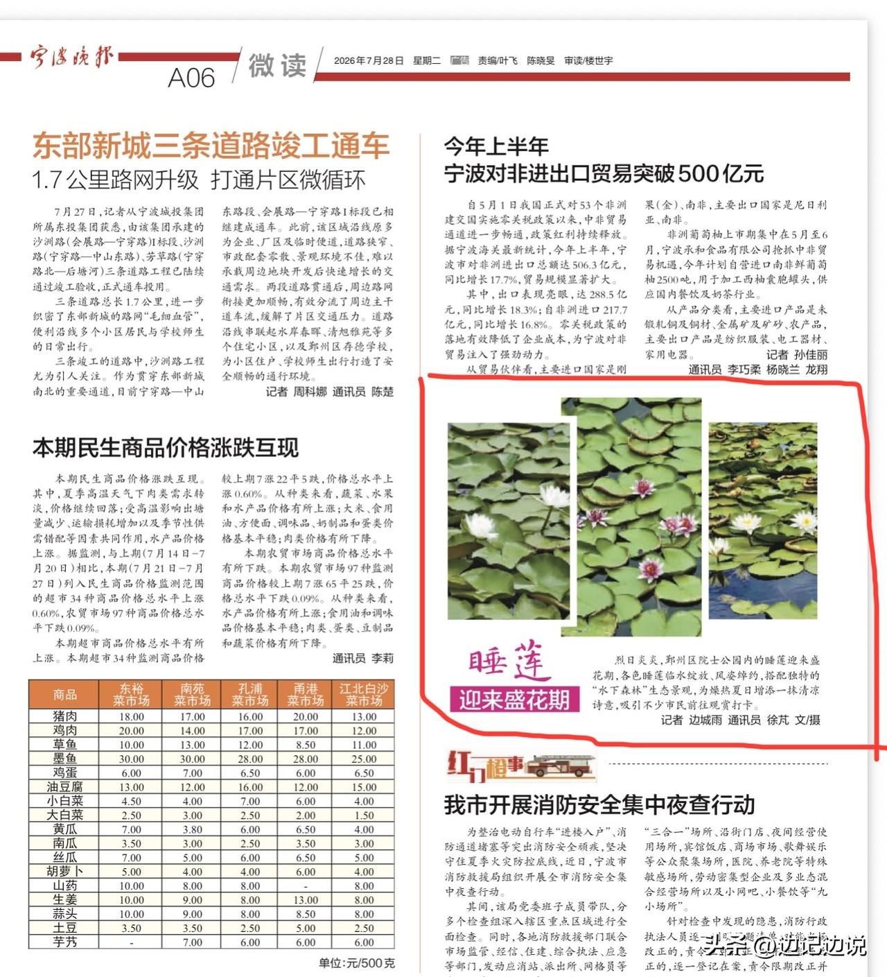 为什么这种大煞风景的事到处都是？前日前往宁波院士公园拍摄睡莲，美景尽收眼底，却撞
