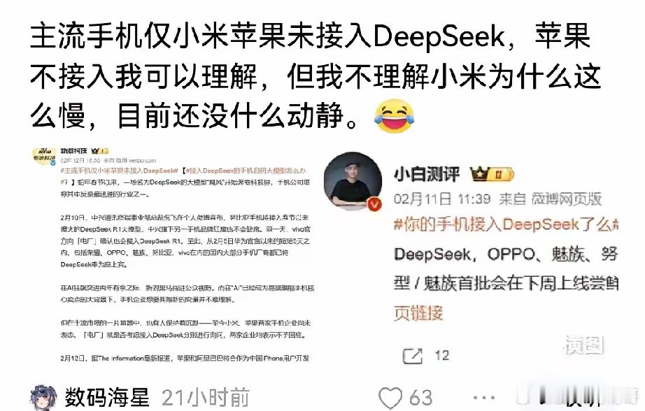 这就是为什么要支持华为的原因了！苹果接入阿里，华为荣耀VIVO接入DeepSee