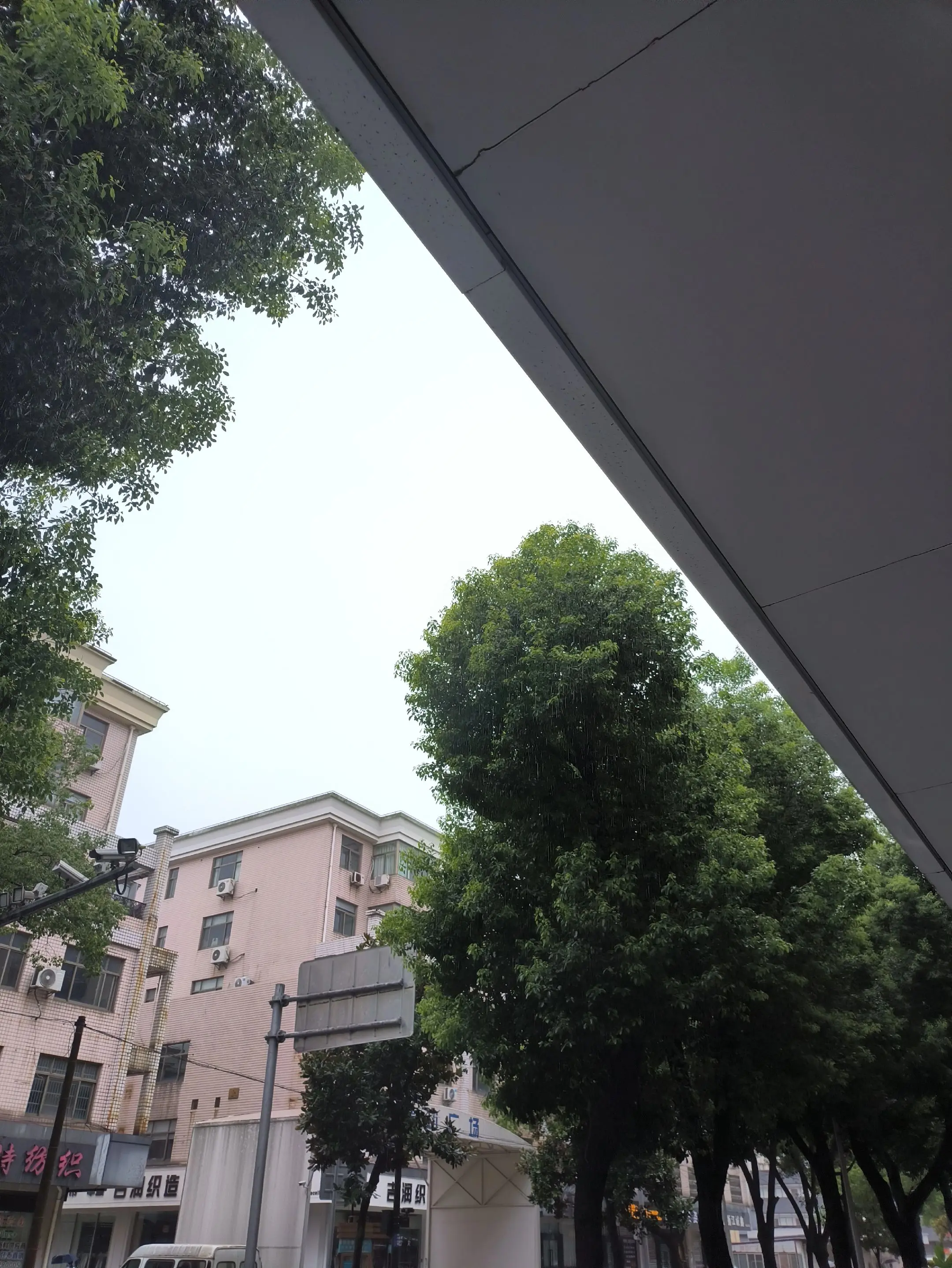 每日推文