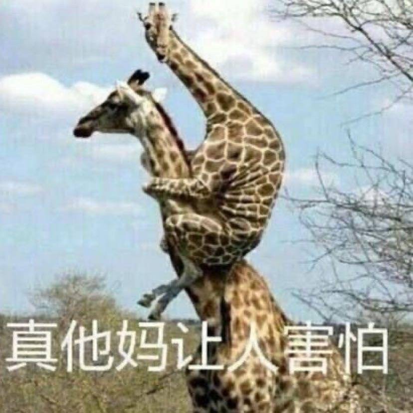 渣浪要亖啊，我都准备睡觉了，来这么个热搜吓得我心突突跳[捂嘴哭] ​​​