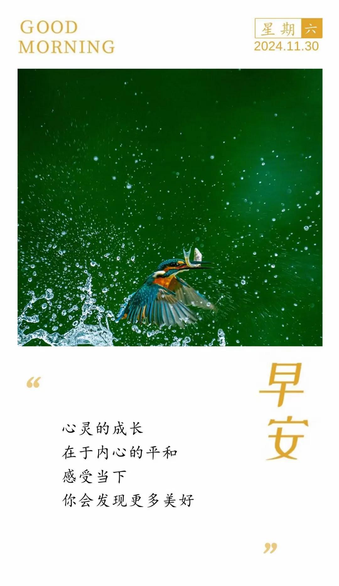 在于内心的平和  
感受当下  
你会发现更多美好
