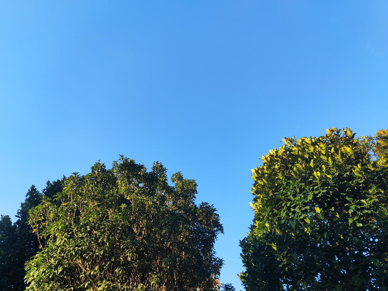 我超爱随手拍天空照。翻手机相册，好多天空的美照。我这人就爱记录日常，旅行时看到自