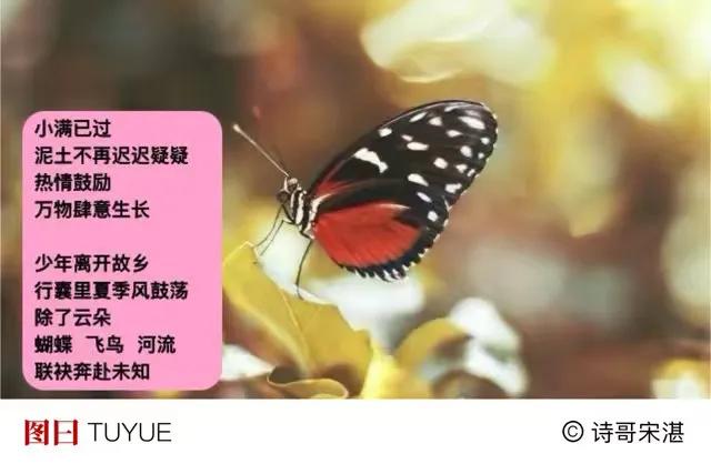 沐浴过星光那人
白日里
花朵喜欢亲近
．
光明渗入心
叶上露 起伏山峦
街头上微