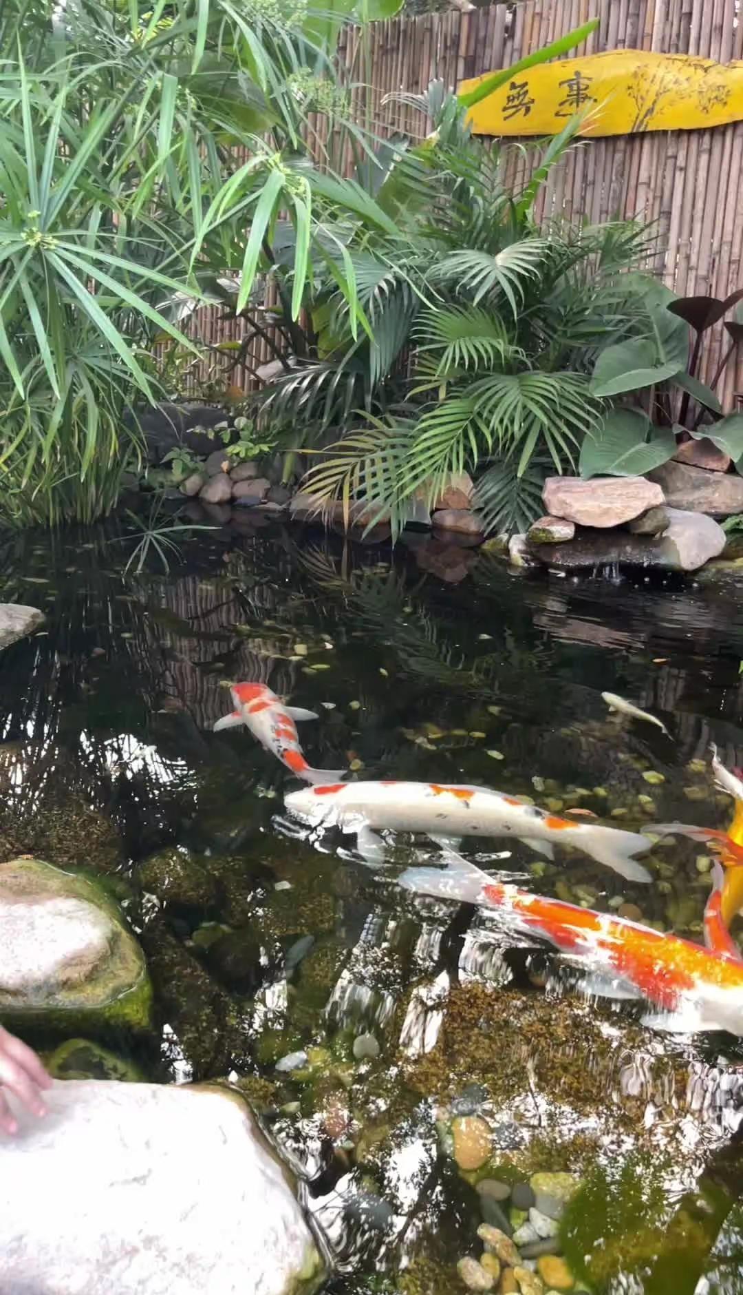 ˗ˋˏ♥️ˎˊ˗ 小满即安，岁月静好 ❥·