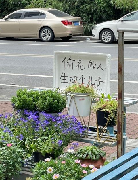 这里的人太没素质了，竟然下如此恶毒的诅咒！