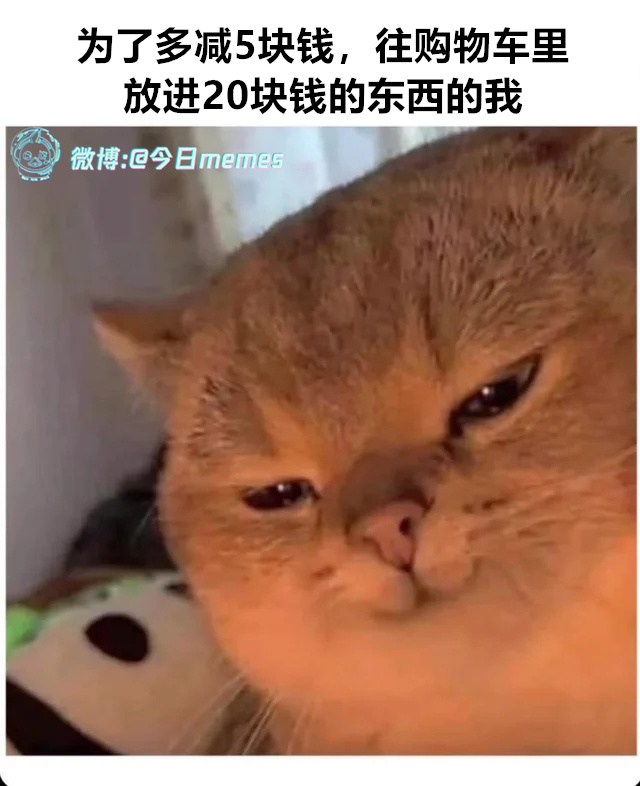 精打细算（9gag）今日meme今日memes