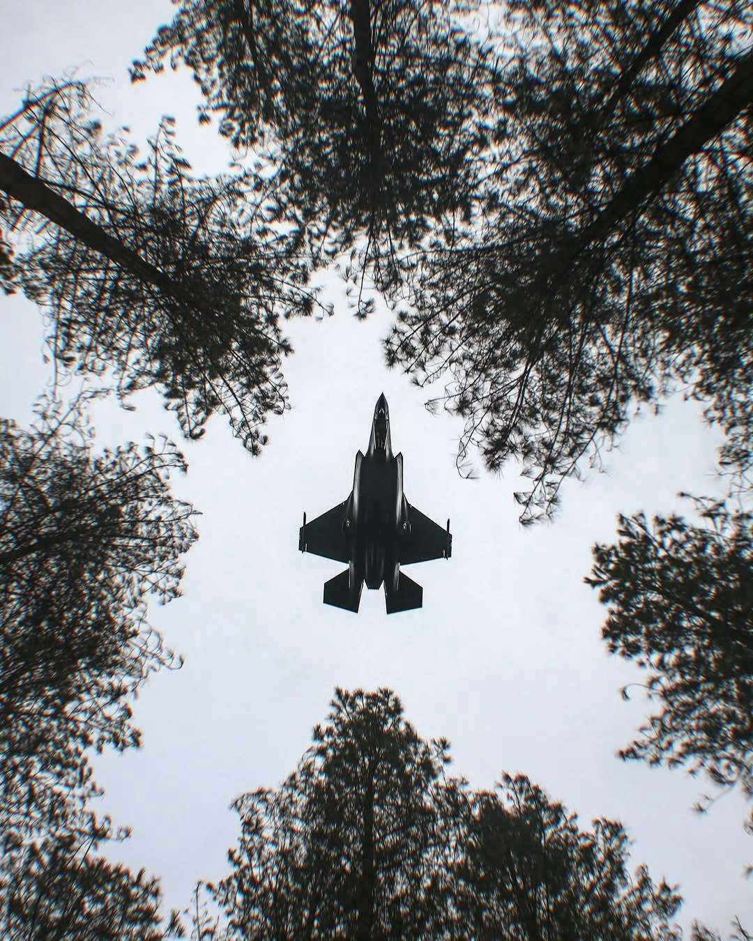 F35 