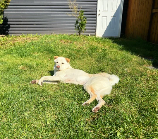 潘有财这都懒成啥样了