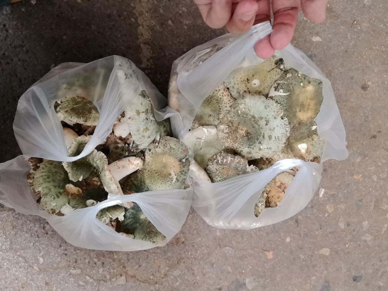1，看见是真正的爱，只有看见，才有可能有爱的发展。
2.顺遂本心，做好手头的事情
