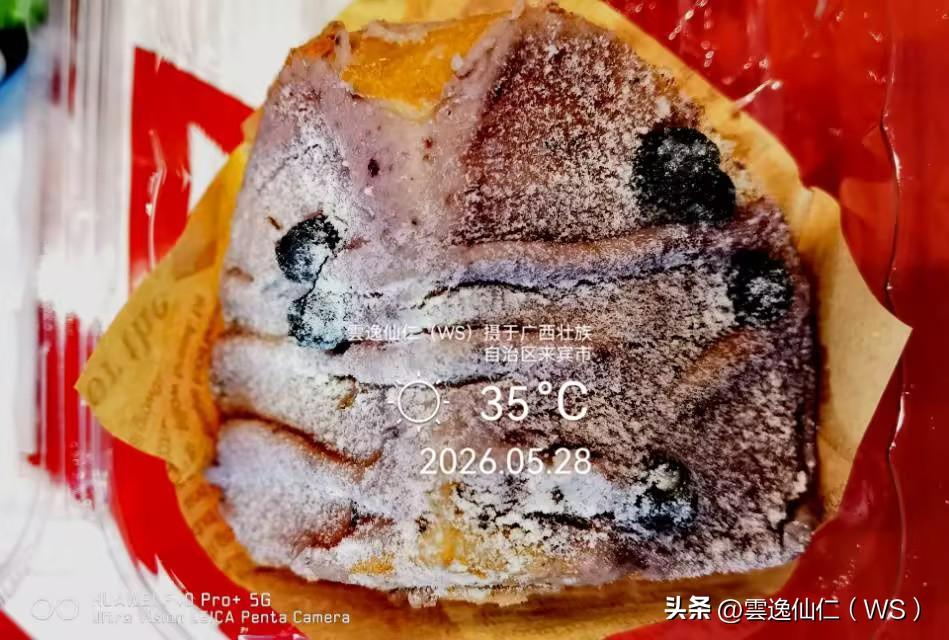 月居生活记录（9811）广西壮族自治区来宾市（37）品尝小吃15：蓝莓乳酪夹心面