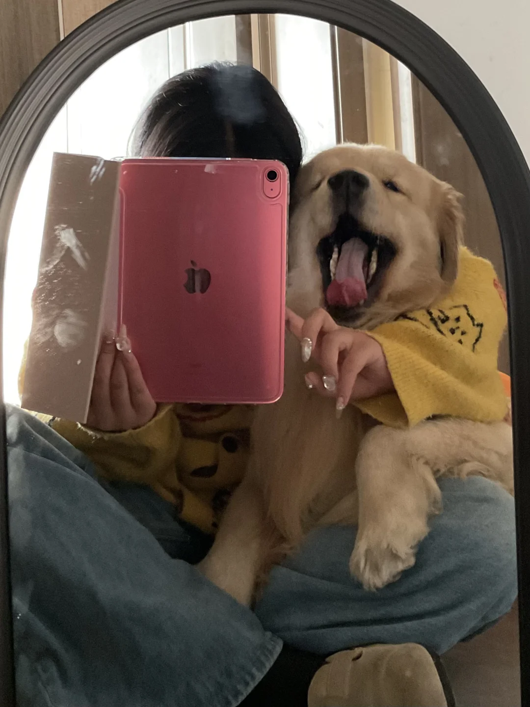 谁的小狗这么可爱啊