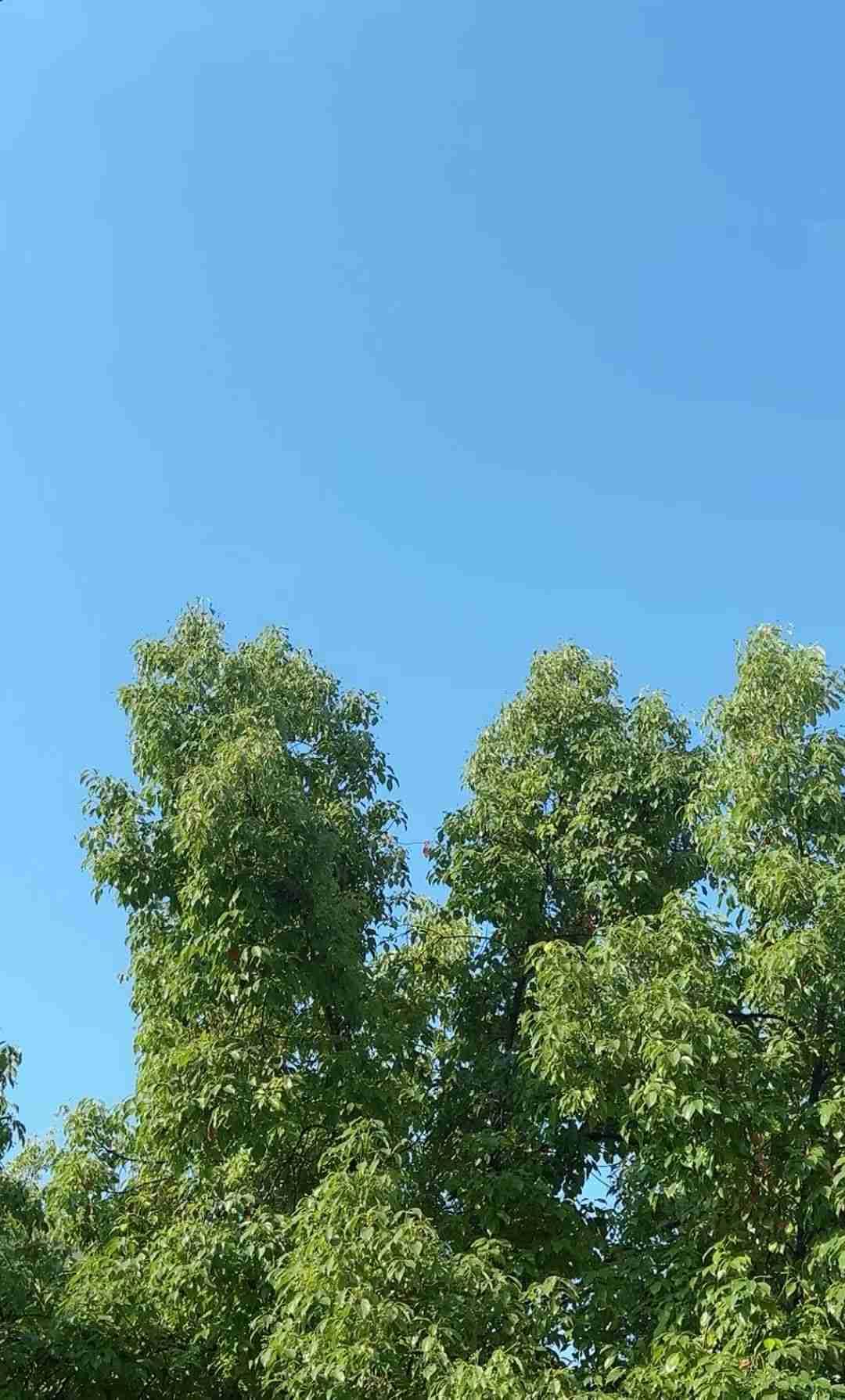 我的今日状态：😁轻松愉快
我这里的天气：☀️晴天
元气满满的周一开始了！