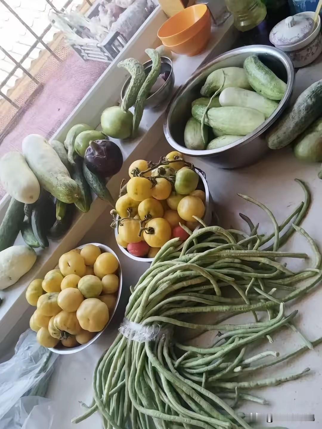 自家种的，别看这些菜平平无奇，菜市场不一定买的到。