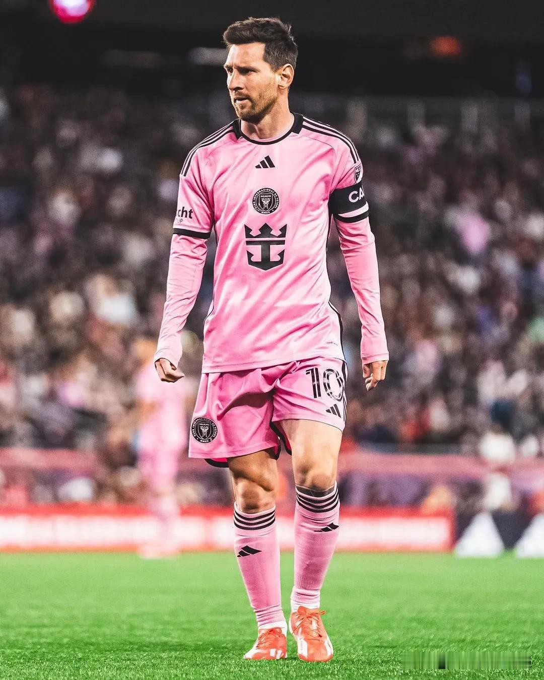 国际迈阿密的队史记录🇺🇸

进球
🥇 贡萨洛·伊瓜因 🇦🇷 (29)
