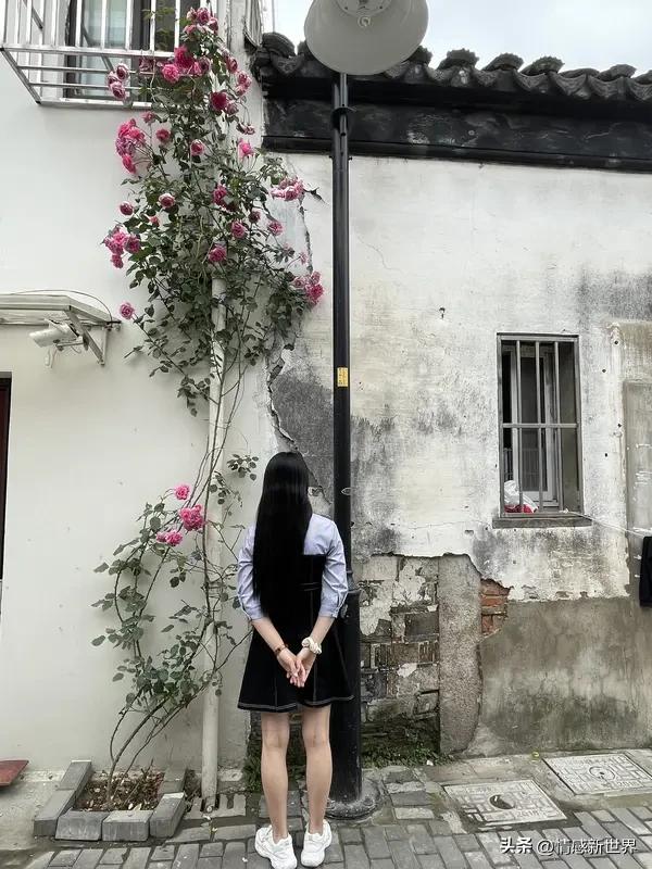 苏州可太适合拍照打卡啦！首推拙政园，它是江南古典园林的代表。园内亭台楼阁、假山池