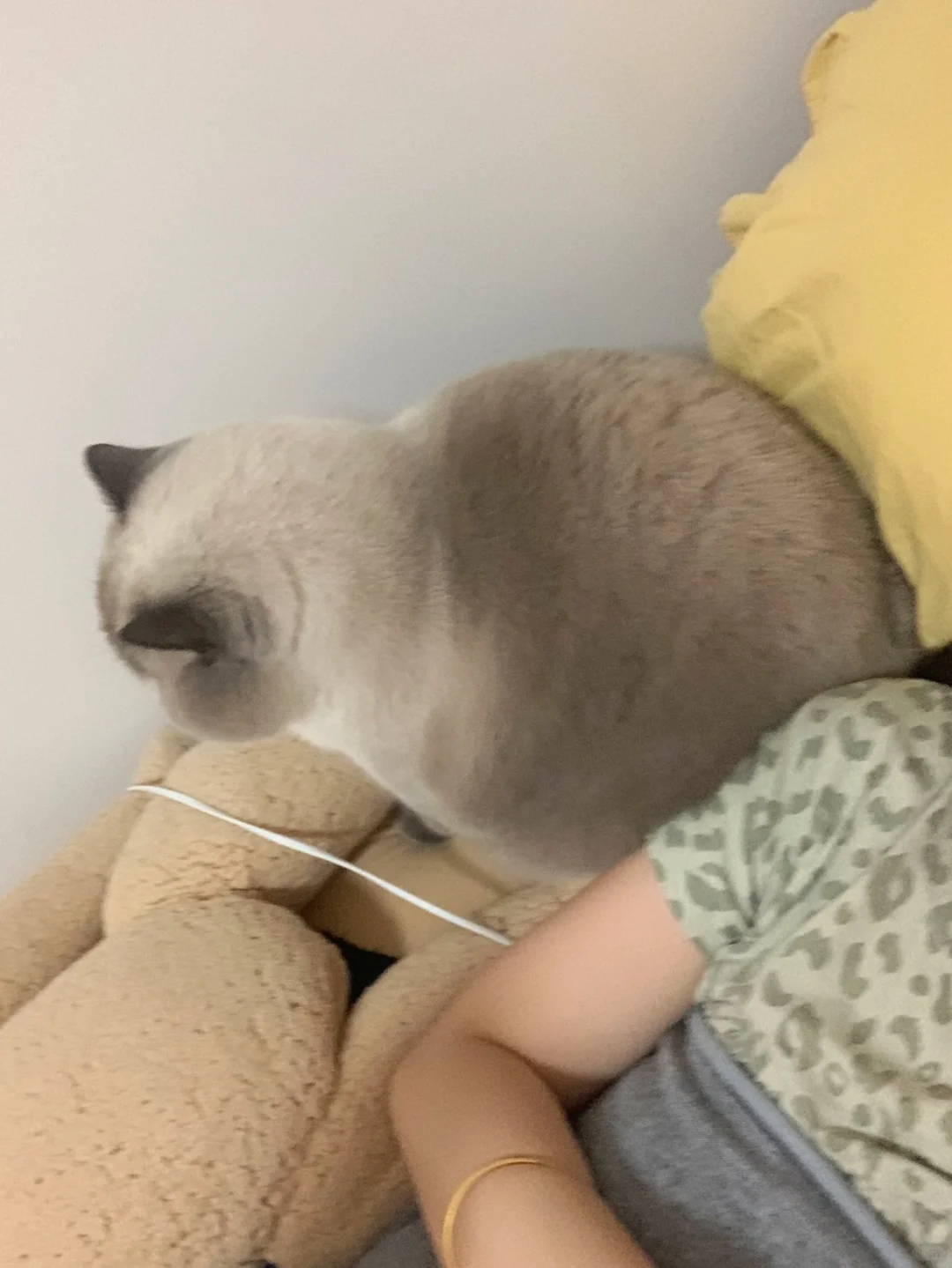 不让他和我睡还偷偷生气了