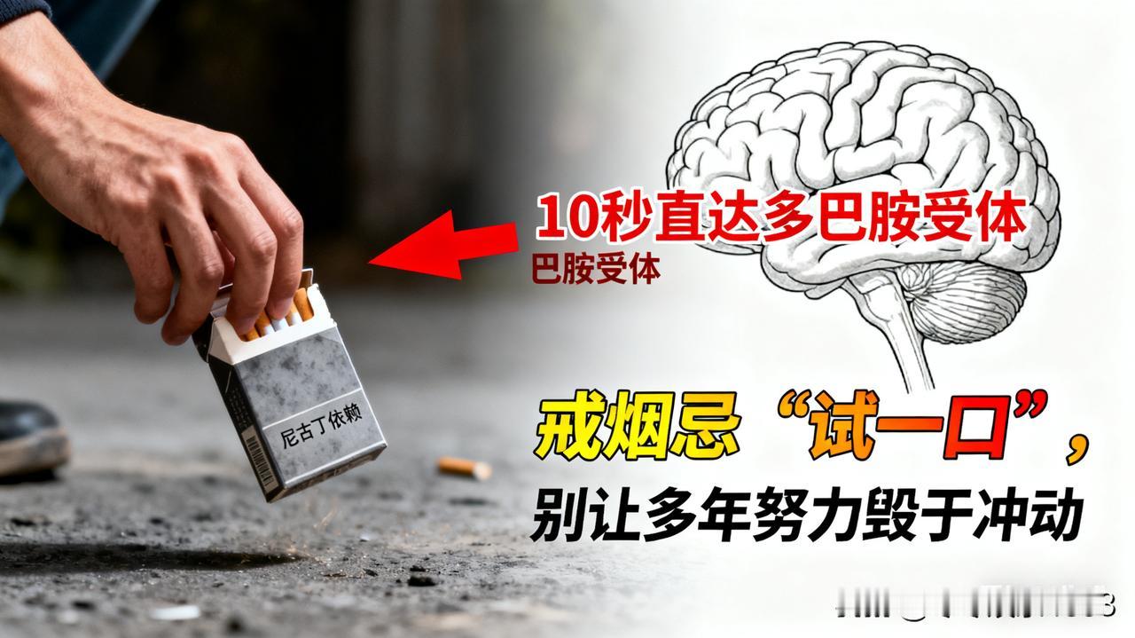 别让多年努力，毁在一时冲动啊！戒烟 12 年、彻底断烟 4 年，我曾笃定这辈子不
