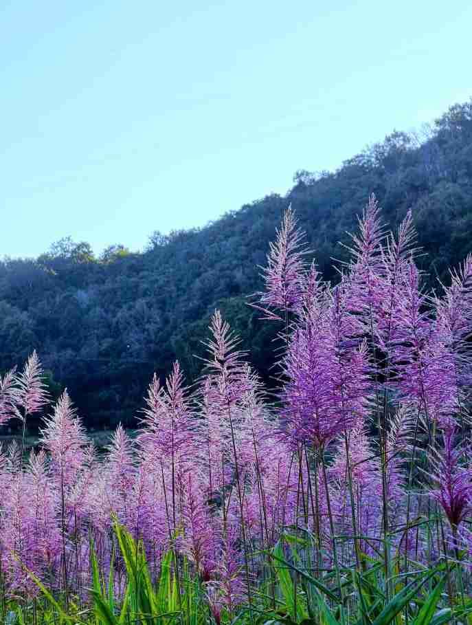 我的今日状态：😁轻松愉快
我这里的天气：☀️晴天
