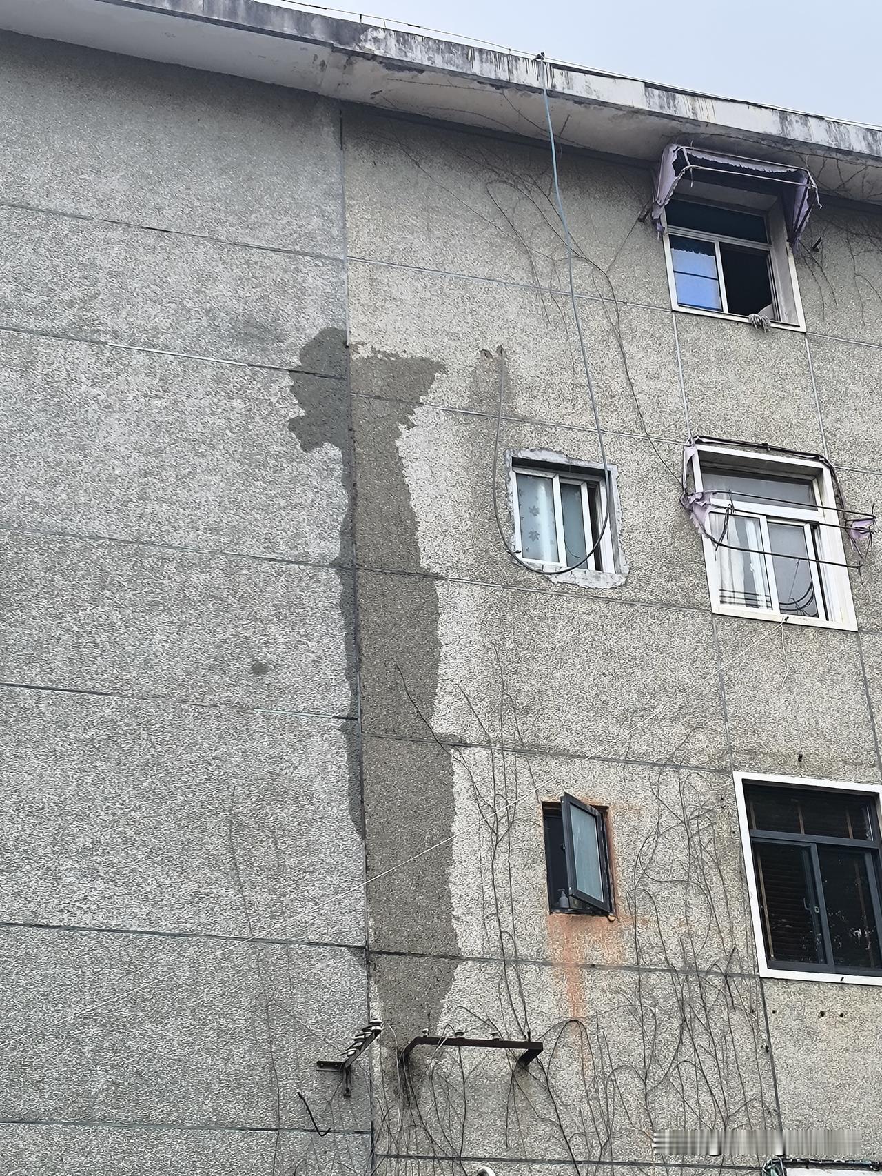 让邻居及时止损，避免了邻里纠纷！
     昨天早晨，我遛狗归来，瞧见三号楼西墙