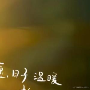 阳光信用  善良是一束美丽的玫瑰，当你赠送他人时，也为你自己留下了满室的芬芳；善