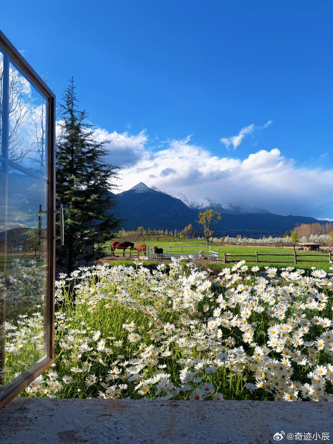 优酷闯进滇剧赛道我乐个神落村癫剧滇拍 宁浩监制+云南高饱和美景，癫剧气质拉满！毒