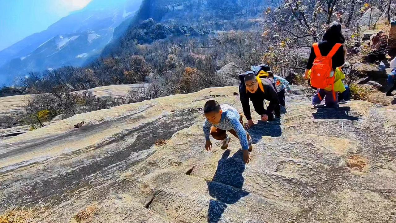 🌲在山林里追光是什么体验？阳光穿过层层叠叠的树叶，在地上织成斑驳的光影，空气里