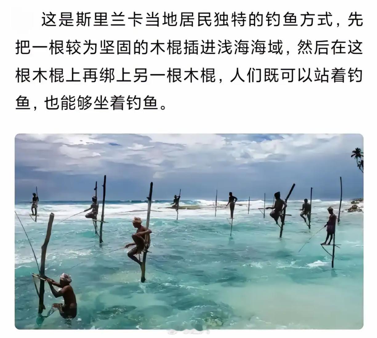 绝了！斯里兰卡独特高跷钓鱼，浅海之上的别样渔趣 ​​​