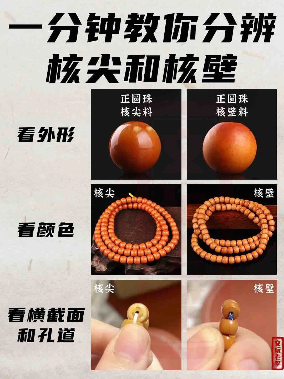 一分钟教你分辨核尖和核桃壁！