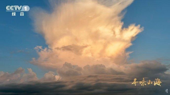 河豚牙口强得可怕福建人养出了无毒级河豚 河豚，气鼓鼓的“萌宝”，实则咬合力惊人，