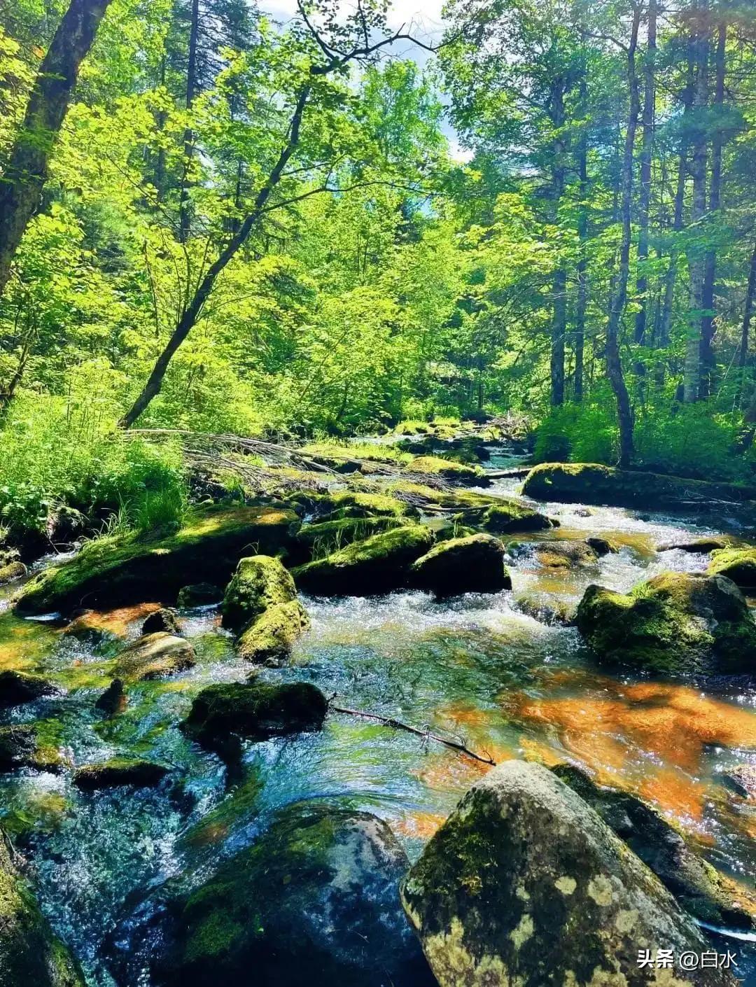 今年夏季全球极端天气事件频发，在气候变暖的大背景下，不同区域的季节体感差异变得格