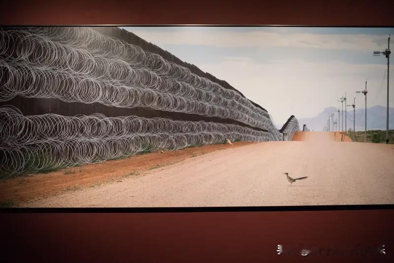 体制内领导想要给子女铺路，也没那么容易。
首先是这个门槛就已经很高了，像是在省会