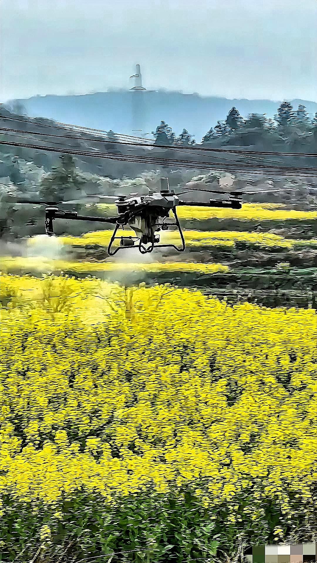 别再洗了！根本洗不白！这两天突然齐刷刷冒出一堆替无人机花期乱喷药洗地的文章，步调