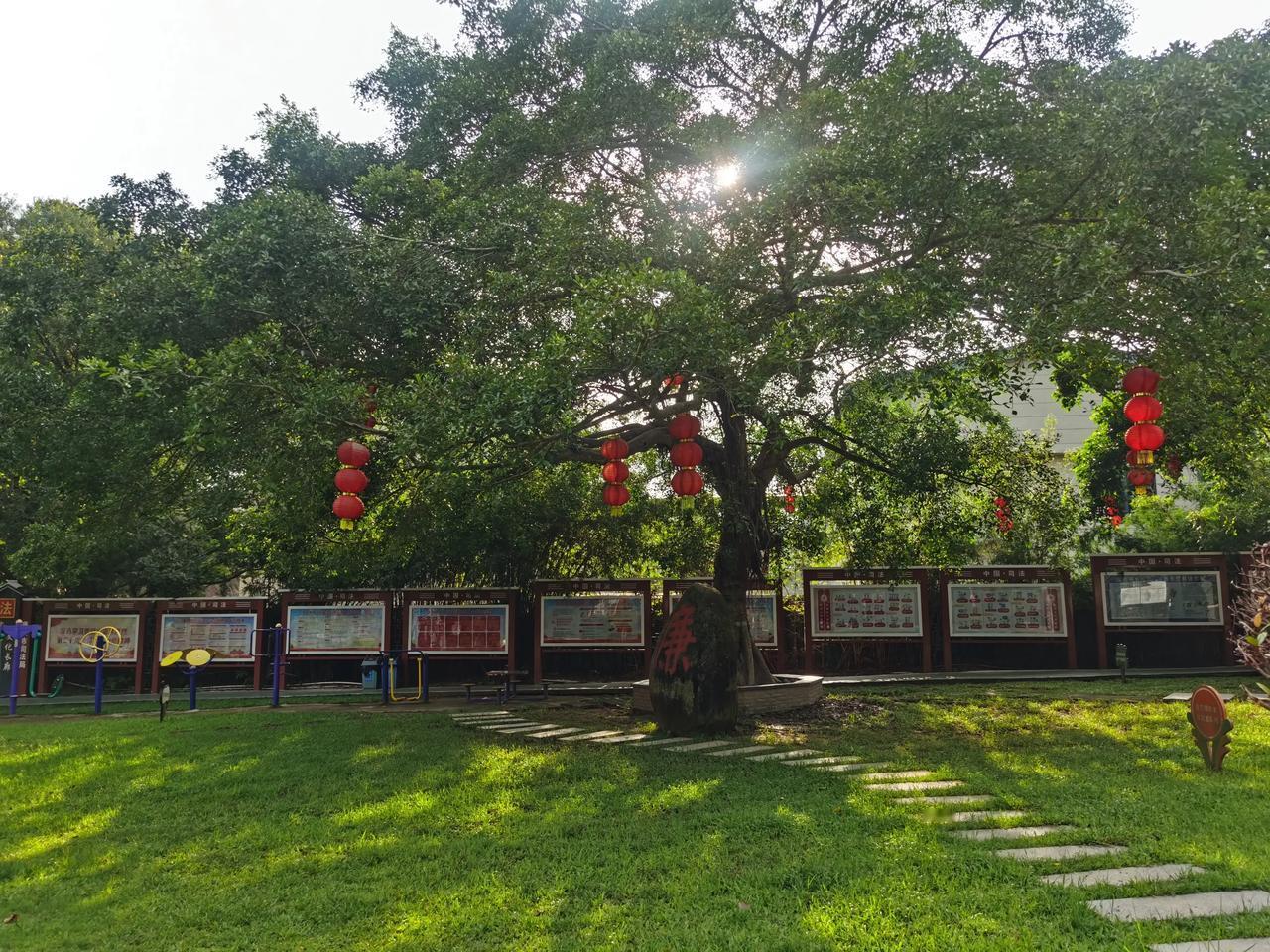 #每日一悟# 一直有个疑惑，是不是属狗和属鸡的人在一块就很爱吵架？

我是一个大