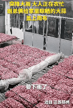 上人民日报了！
近日，江苏两个小孩立大功了，他们的举动，直接让全网纷纷点赞！
