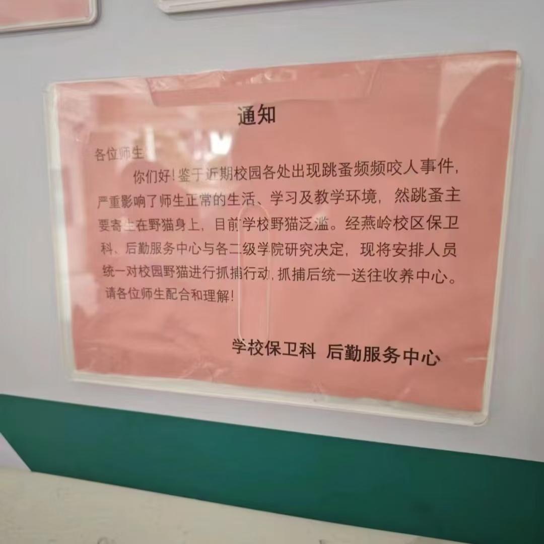 学校的这个决定对于猫咪来说是相当残酷的。
送到收养中心的猫咪，如果长时间没有人领