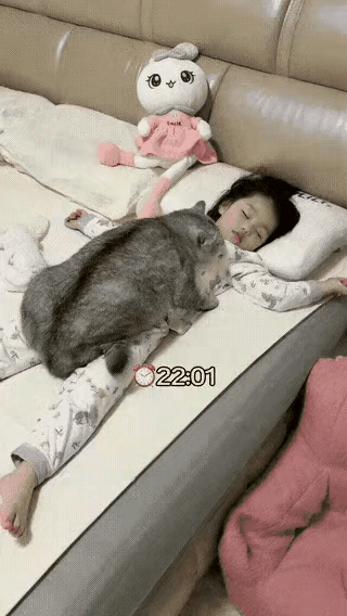 两个都是妈妈的心头肉，你怎么忍心让宝贝和宝贝分开呢？