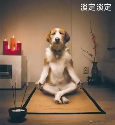 下午2:12， A股午后继续平衡窄幅波动，大致到收盘也都是这个样子了

现在是下