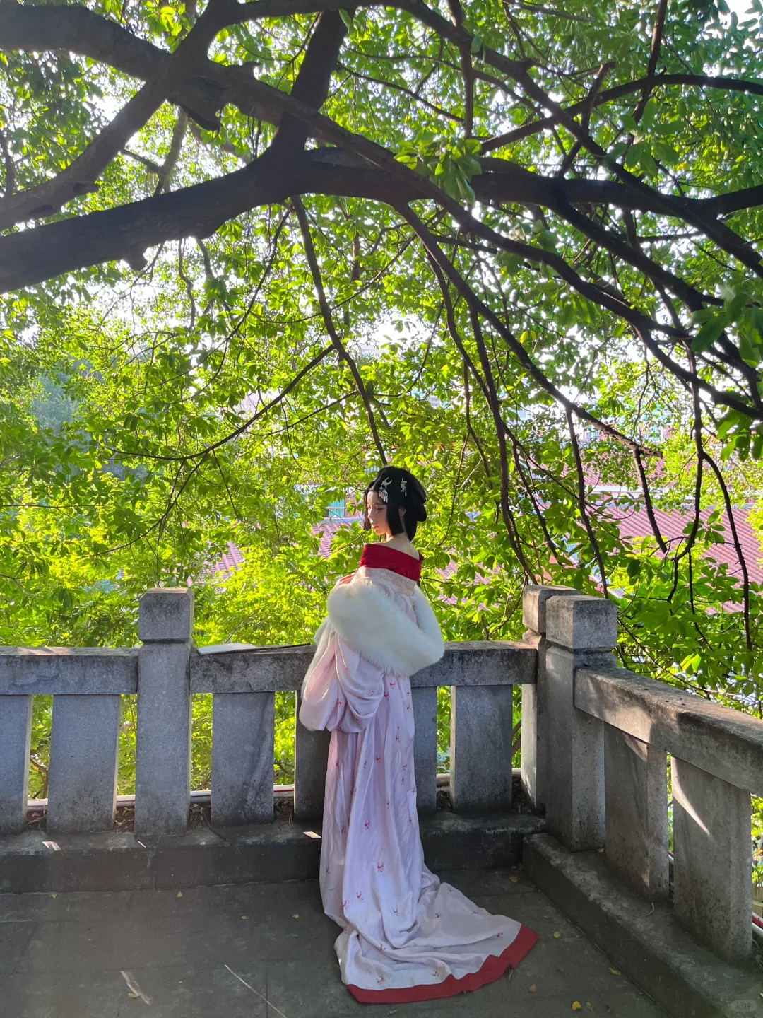 🍃树影婆娑|泉州战国袍古风写真花絮