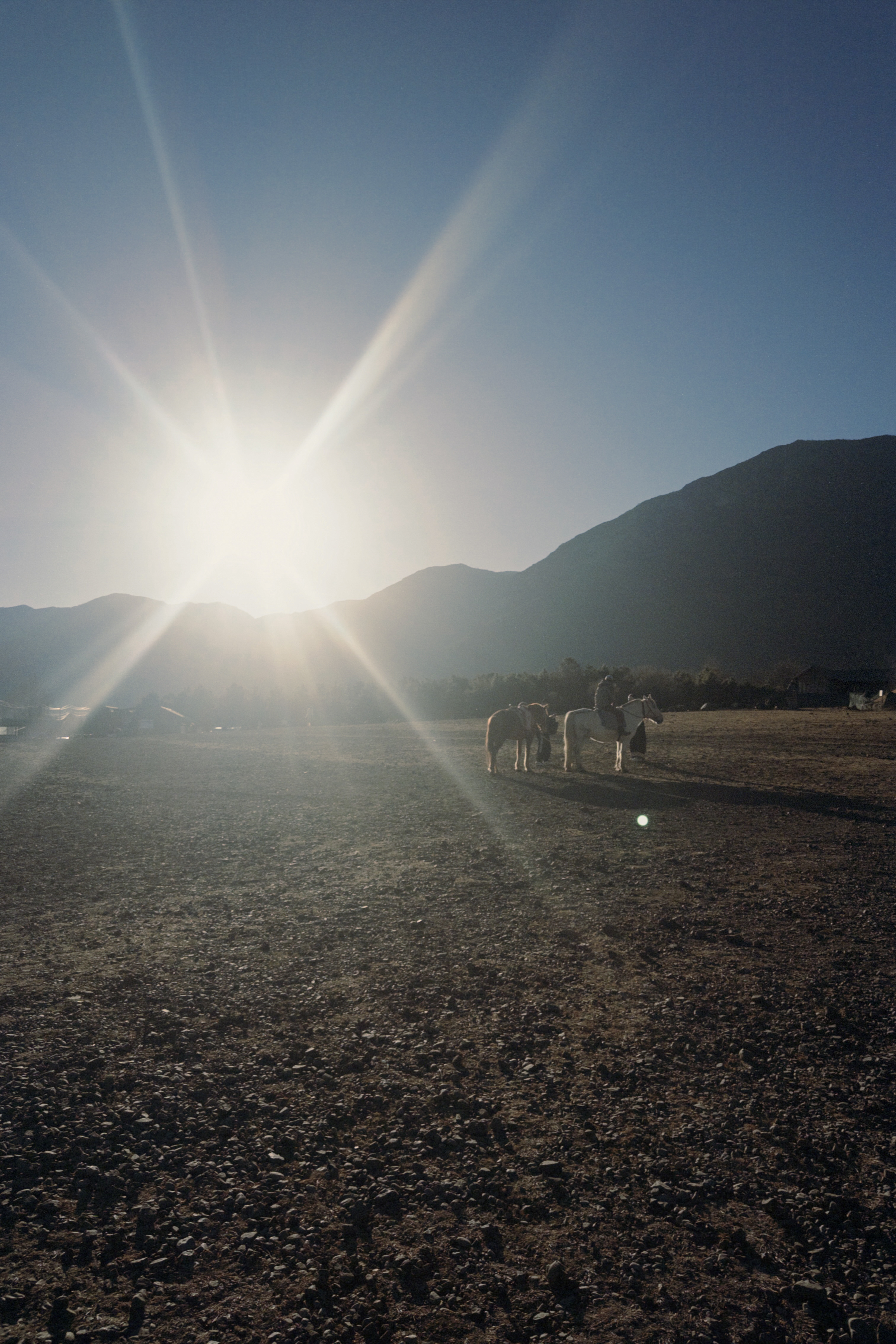 终归一场梦而已 生起什么心 