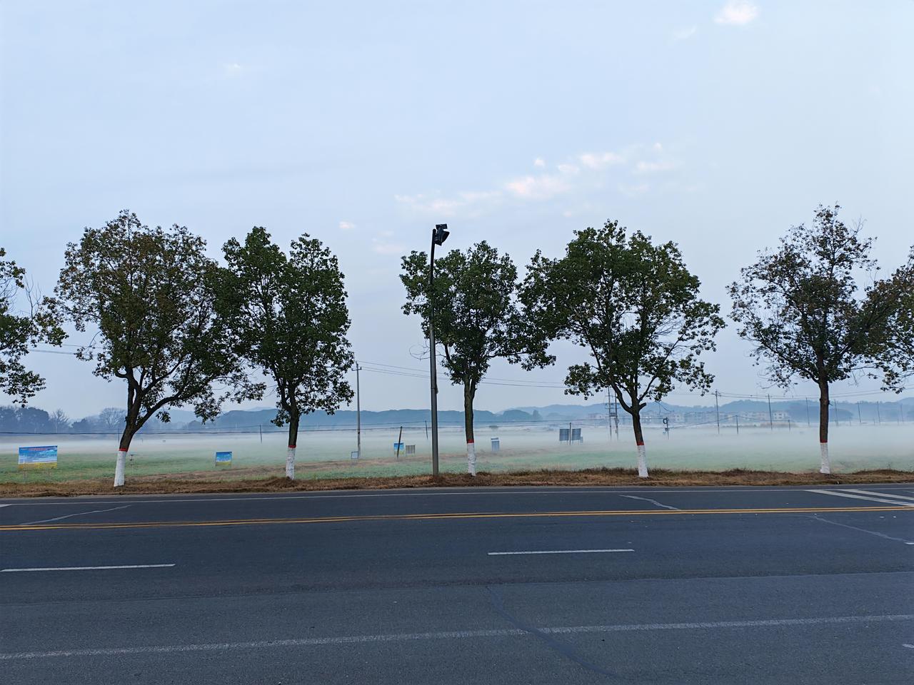 分享一张你最近相册里治愈的随手拍