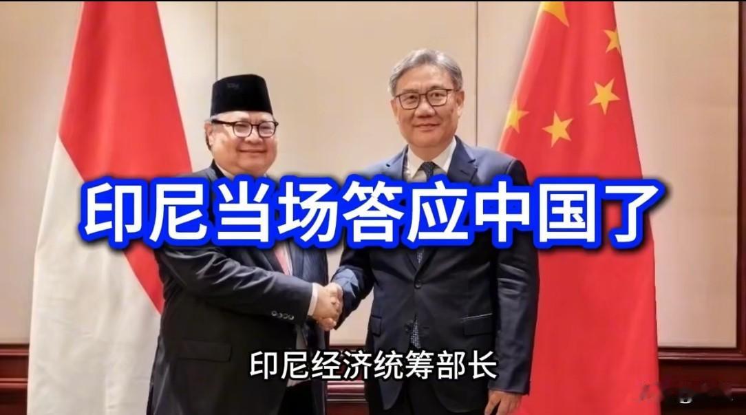 印尼这回演的哪出戏，真是让人看笑了。前脚还在那搞联合军演，拿中资园区的机场找茬，