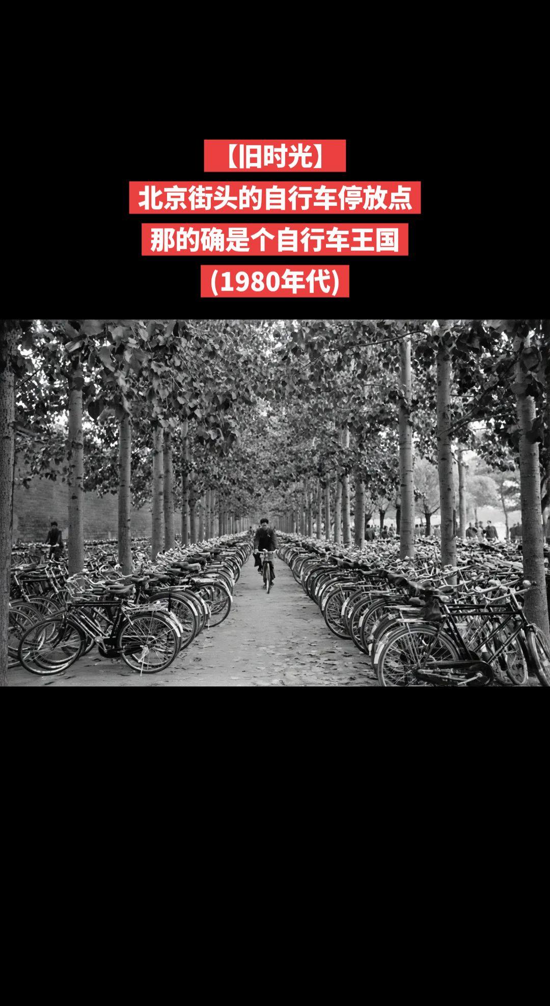 【旧时光】北京街头的自行车停放点
那的确是个自行车王国
(1980年代)