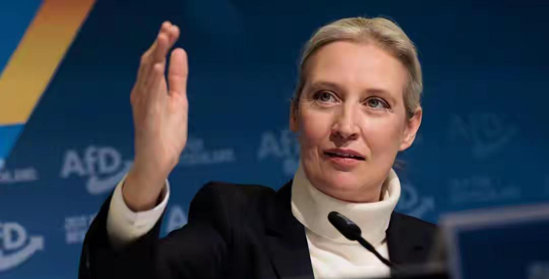 4月25日，德国最权威的民调机构之一，INSA舆情研究所，在官网21点15分发布