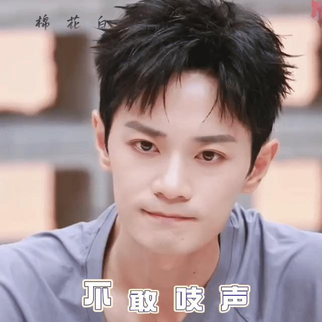 曹骏眼睛快忙不过来了曹骏长的真的俊 ​​​