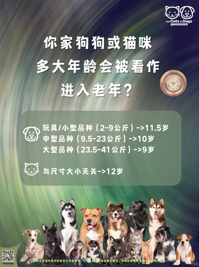 你家狗狗或猫咪多大年龄会被看作进入老年？