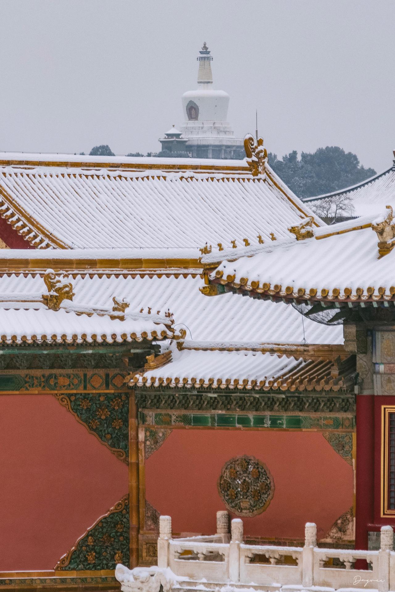 雪中故宫的“静”与“境”，最动人的是“静”里藏着的“境”。红墙覆雪、琉璃瓦承白，