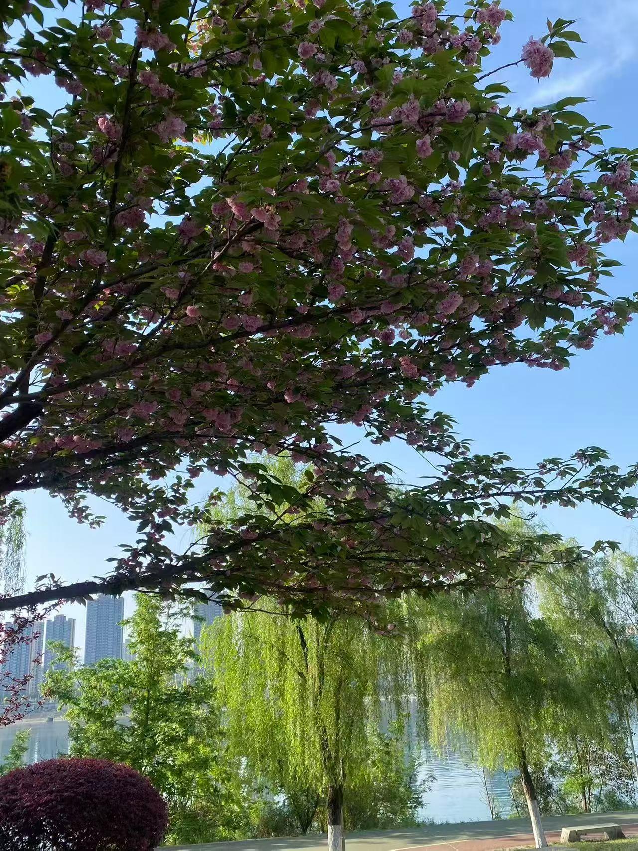 今天读到的金句我一边内耗，一边自愈，一会想开了，一会又纠结了，想发个朋友圈诉苦，