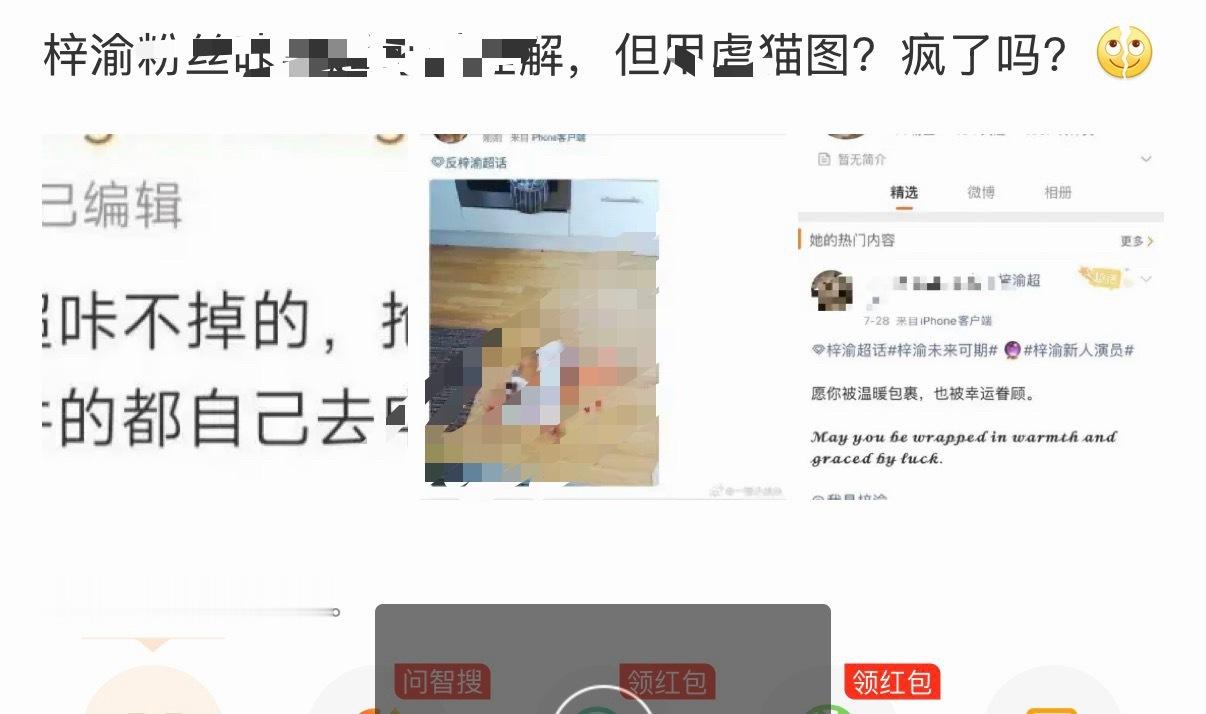 梓渝多名粉丝被告是的他大粉之前还因为发nue🐱图被永久禁言了 可以说毫无人性 