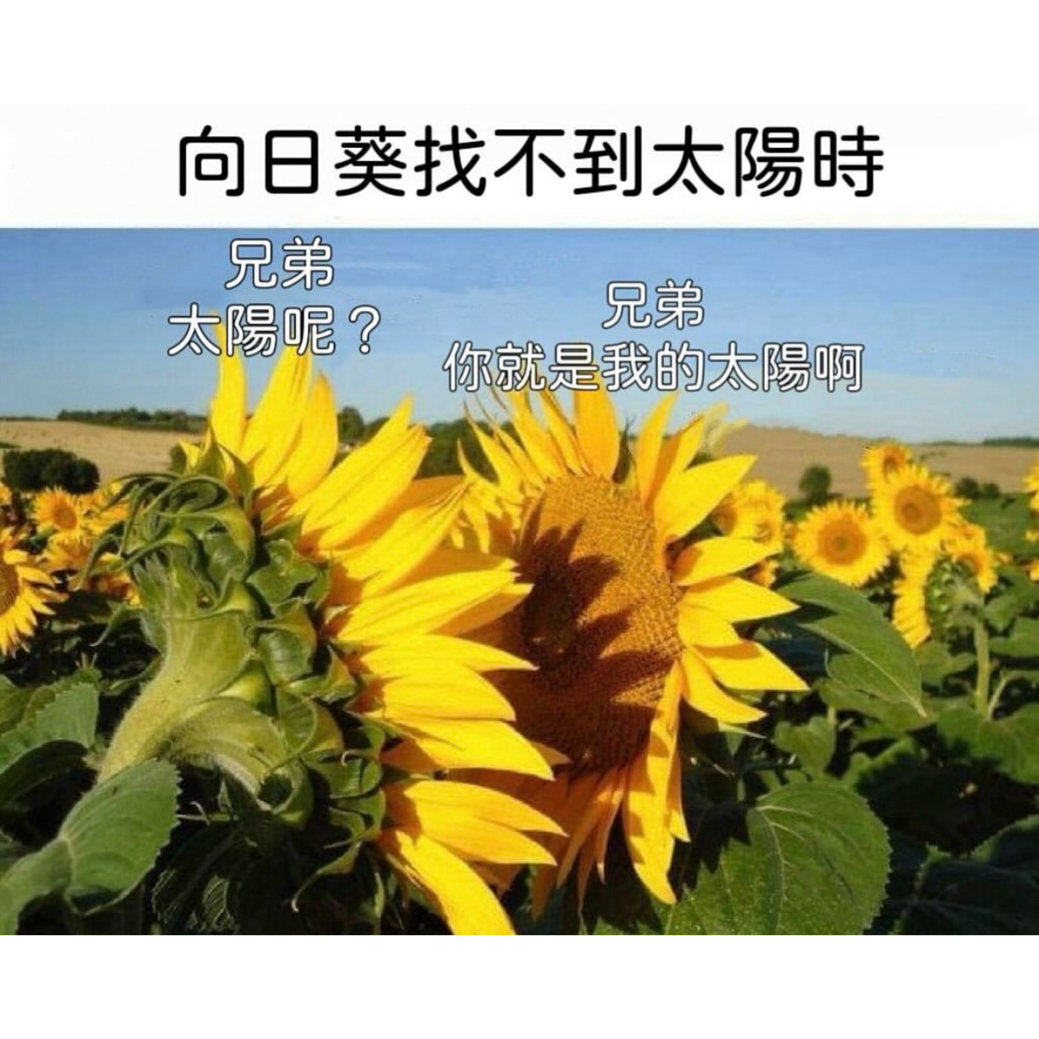 又搞这些是吧#meme# ​​​