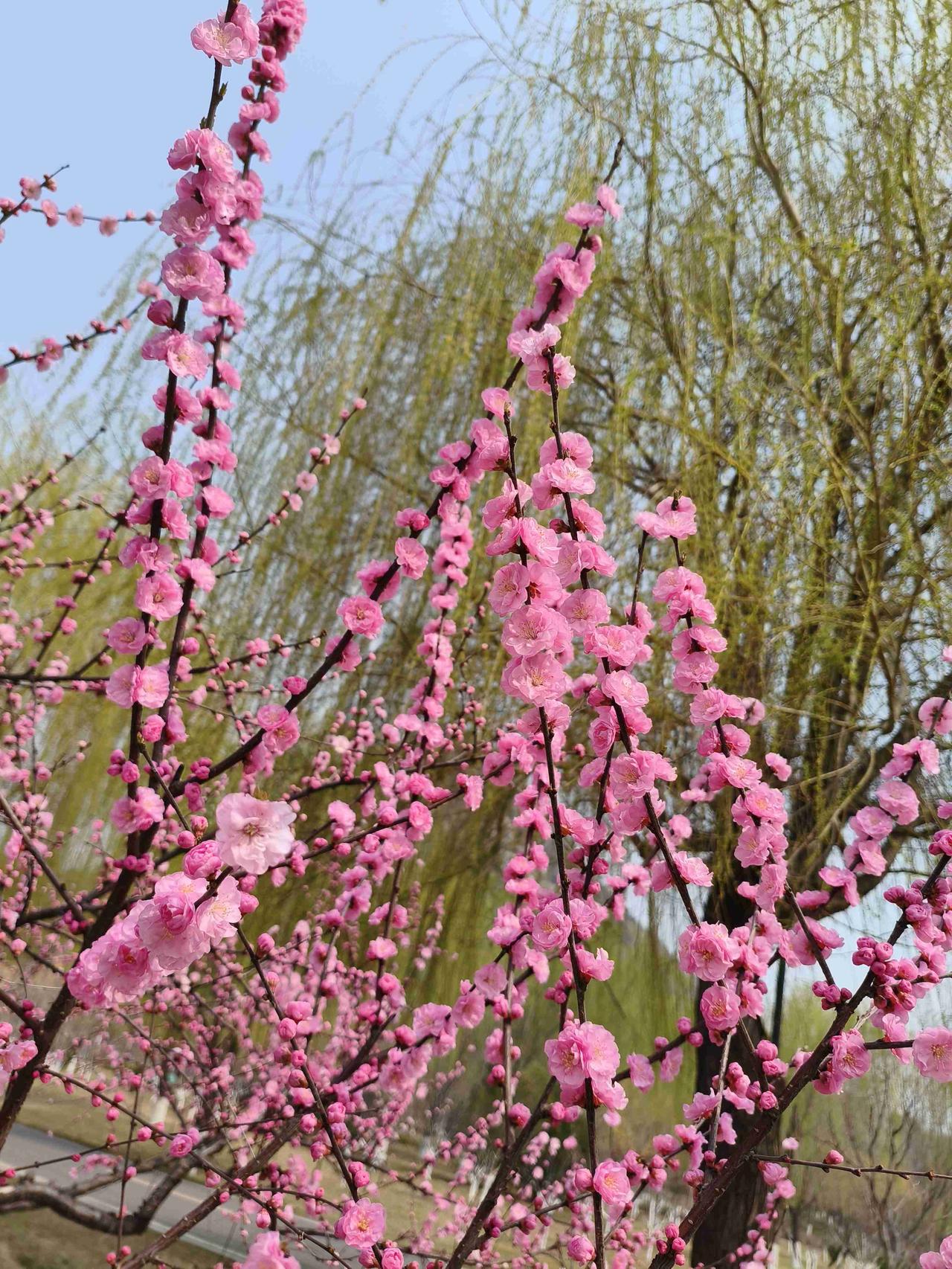 我的今日状态：😁轻松愉快
我这里的天气：☀️晴天